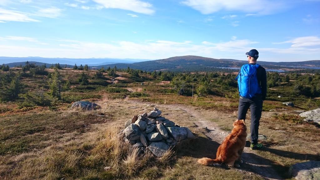Lillehammer Fjellstue Og Hytteutleie Nordseter Exterior foto