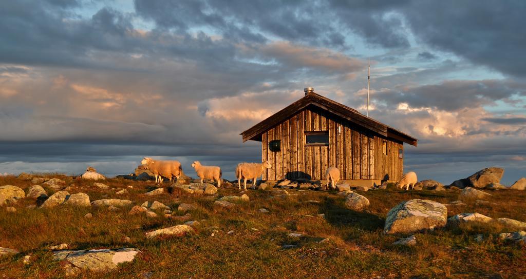 Lillehammer Fjellstue Og Hytteutleie Nordseter Exterior foto